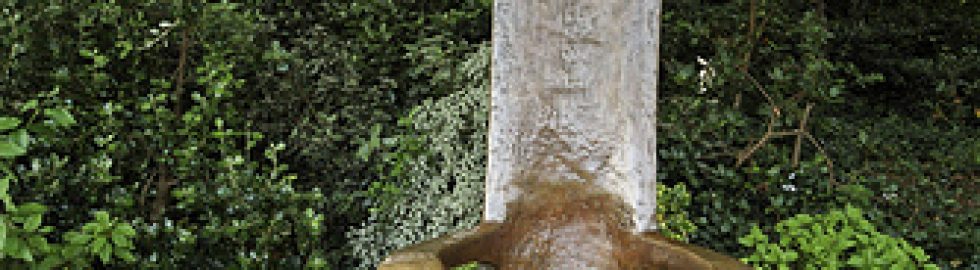 750843740_92388153c5