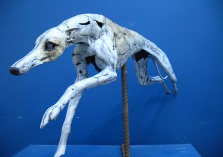 Greyhound (2)