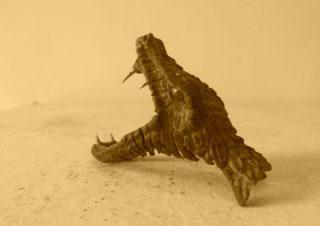 Head (2)