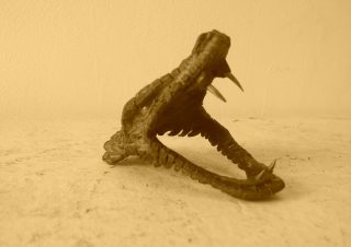 Head (3)