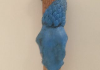 Scales 1