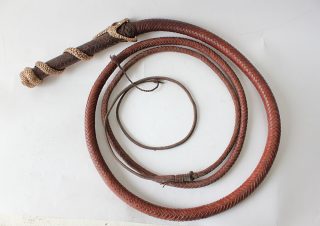 Whip GB Version Top View