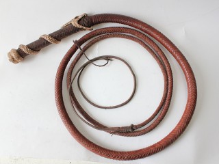 Whip GB Version Top View