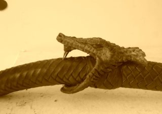 Whip Modelling2