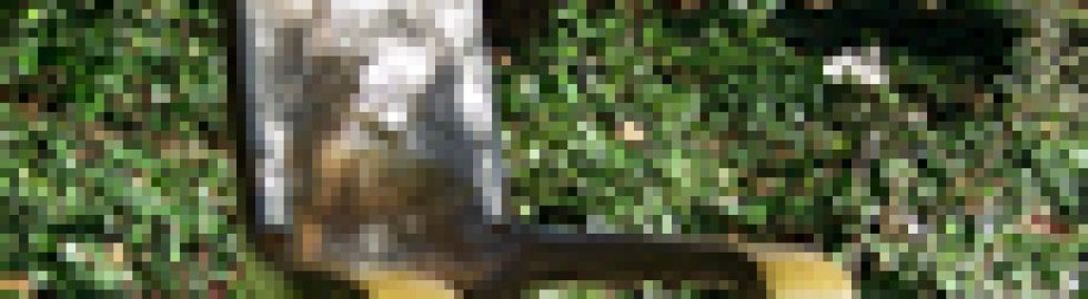 merrion_sculpture_dermot_morgan