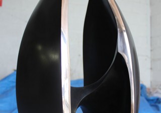 Black Tulip (2)
