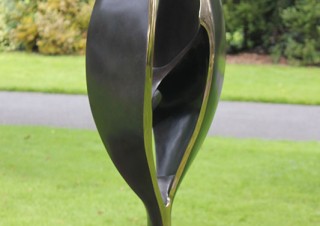 Black Tulip