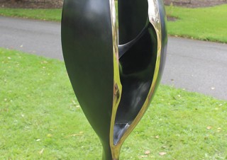 Black Tulip (4)