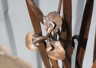 IMG_7184
