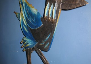 Kingfisher 1 New Colour (4)