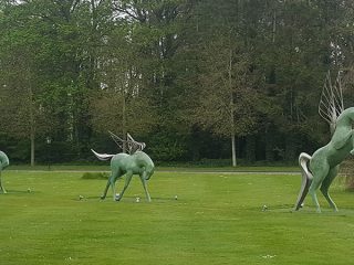 3 Conor Fallon Pegasus
